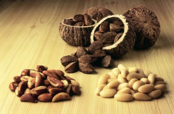 iktidar için Brezilya cevizi